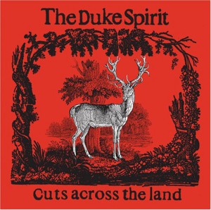 DukeSpirit